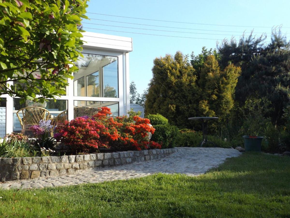 Cosy Apartment With In Pirna With Private Terrace Oda fotoğraf